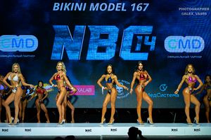 BIKINI MODEL 167